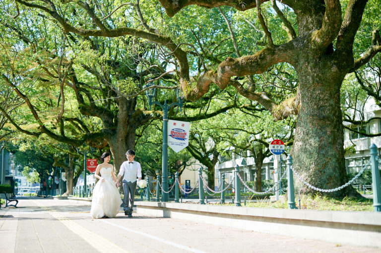 フォトウェディング&前撮り／ドレスロケ・県庁楠並木通り